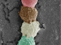 Microscopic Ice Cream?! Imaged with an SEM