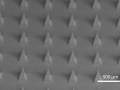 Microneedles on patch imaged with an SEM