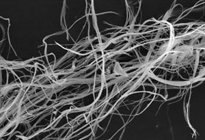 Asbestos identification and characterization by analytical testing using light and electron microscopy