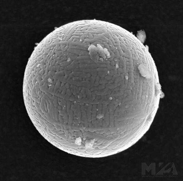 Electron microscopy image of metal particle