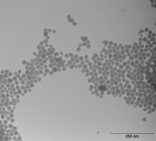 TEM image silica nanoparticles