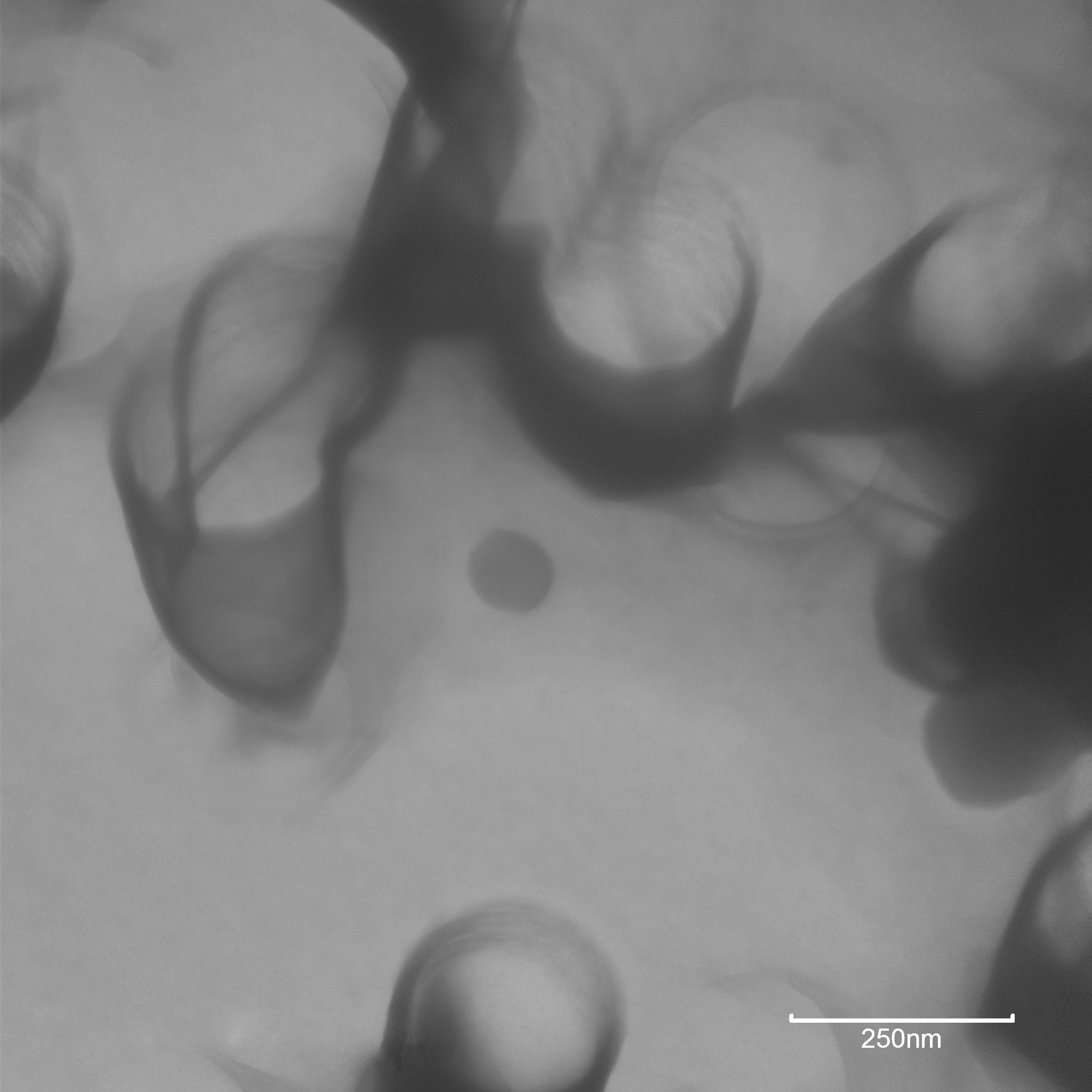 Fig 2. TEM image of TiO2 primary particle in Product A.
