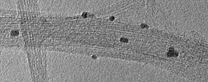 TEM image of carbon nanotubes