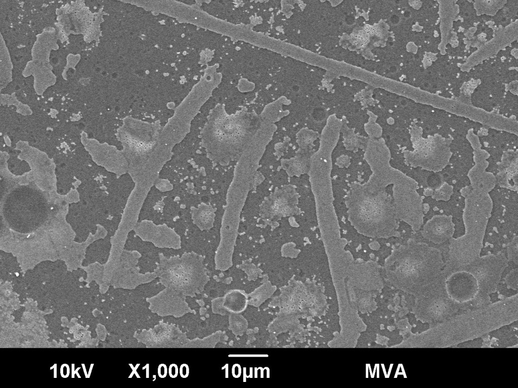 Figure 2: This is an image, taken by a scanning electron microscope, of a glass vial interior showing a delaminated inner surface 