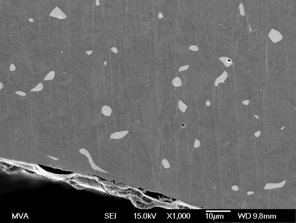 SEM imaging of a polished cross section