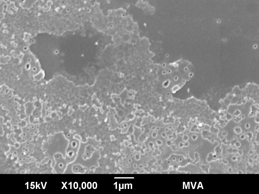 High magnification SEM imaging showing the pits and surface structure of the interior glass surface