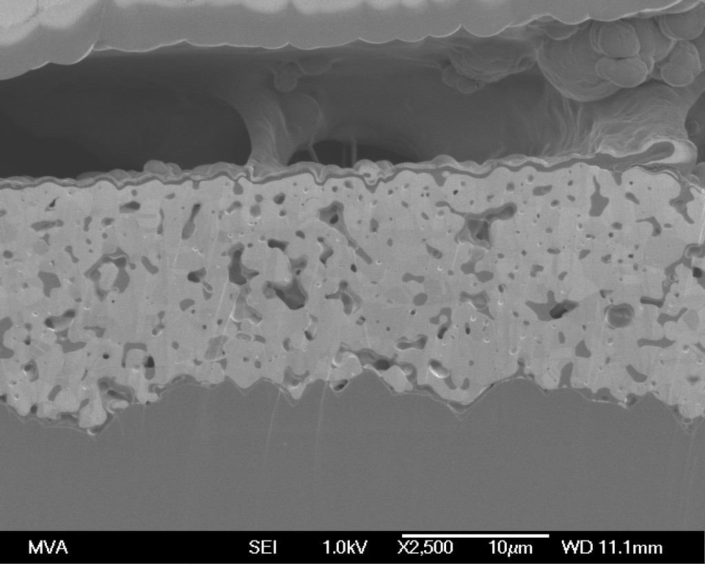 SEM imaging of a polished cross section material