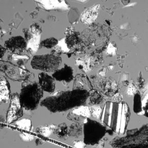 Light Microscopy image of dust.