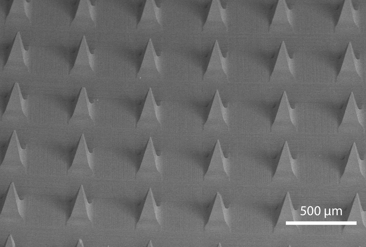 microneedles imaged by SEM