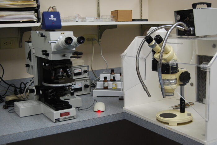 Optical Light Microscopy