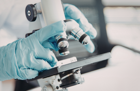 Case Study: Patent Infringement