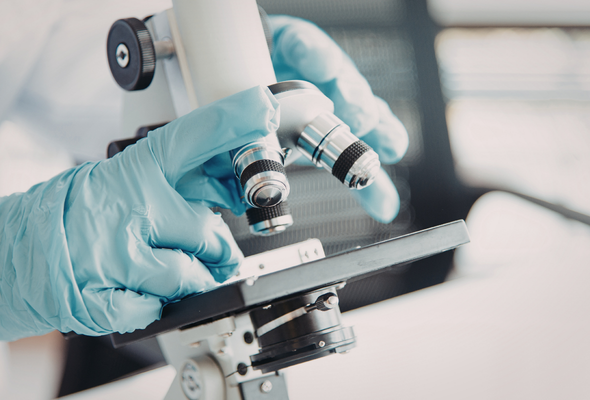 Case Study: Patent Infringement